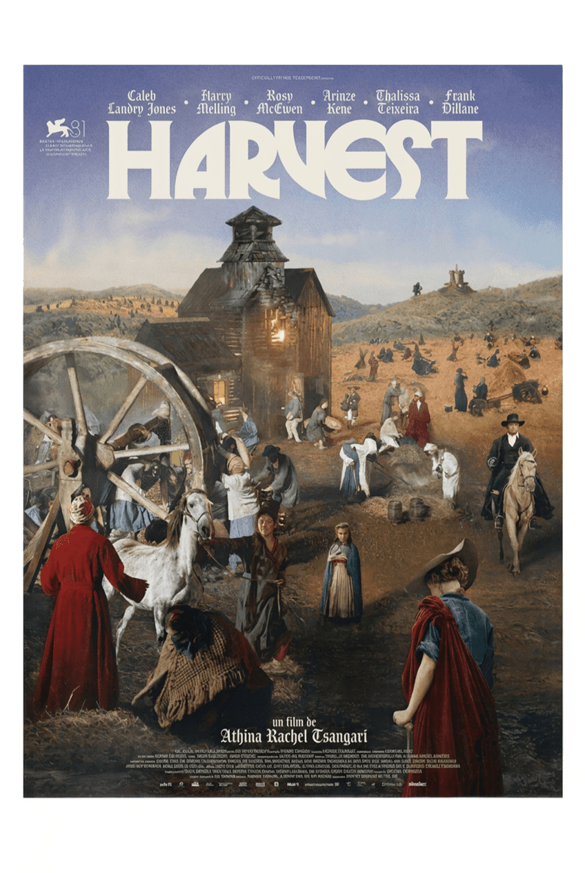 Affiche 40 x 60 Harvest
