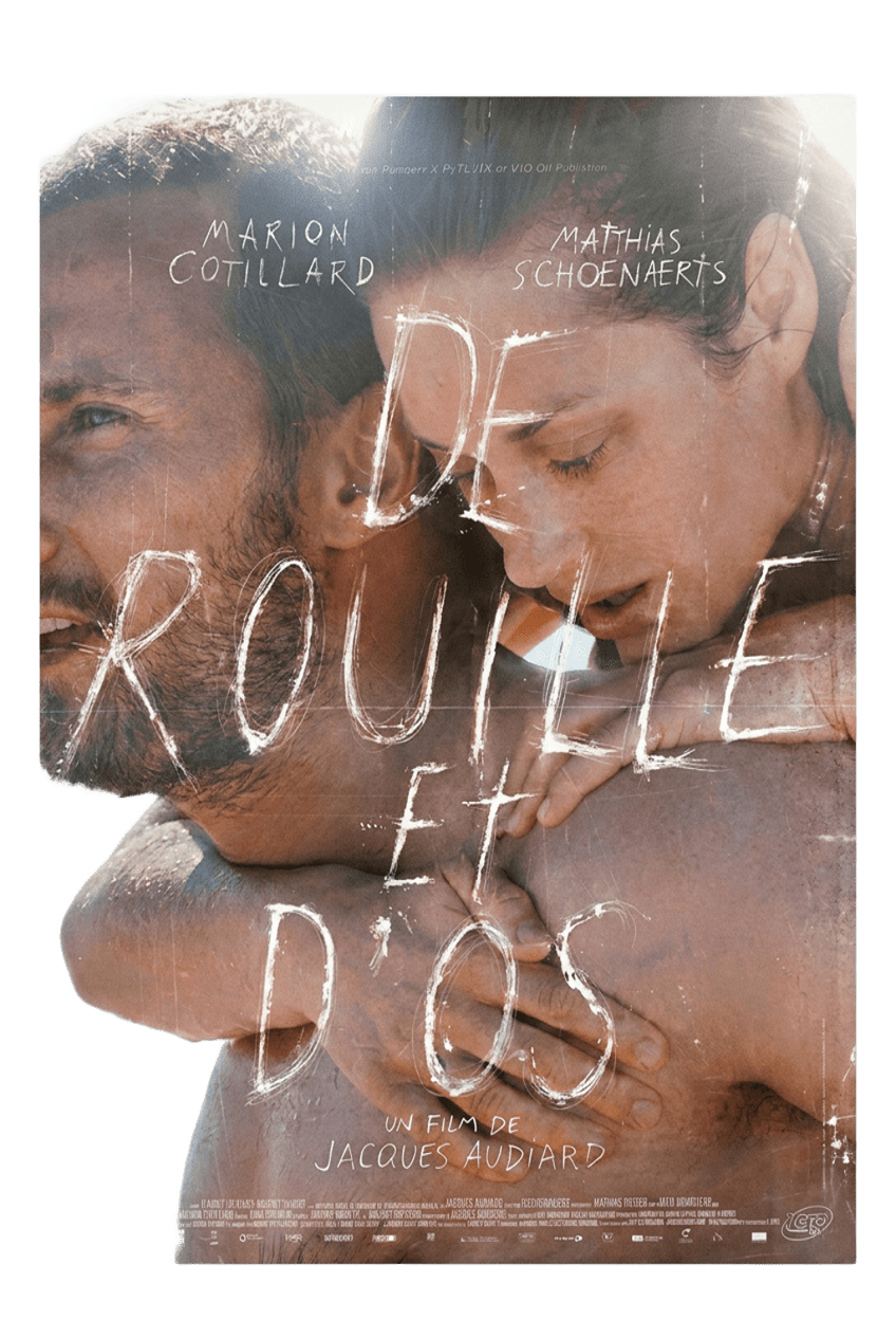 Affiche De rouille et d'os 40 x 60 ( occasion )