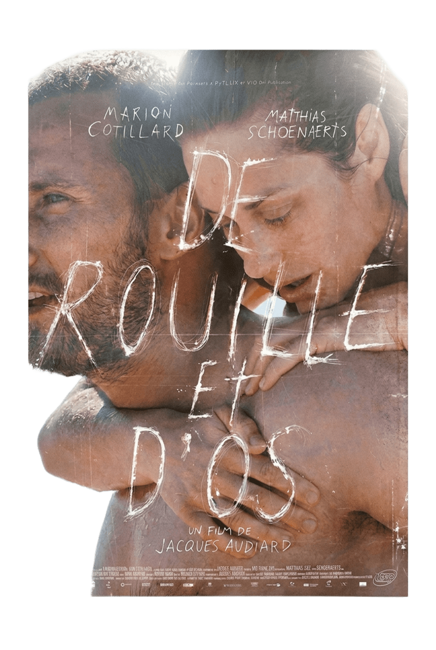 Affiche De rouille et d'os 40 x 60 ( occasion )